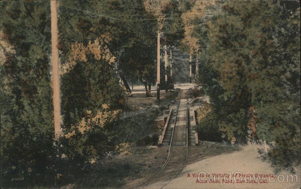 A vista in Vicinity of Picnic Grounds, Alum Rock Par, San Jose, Cal. California
