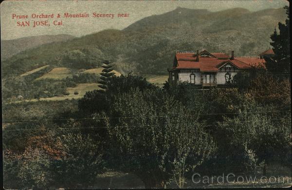 Prune Orchard & mountain scenery near San Jose, Cal. California