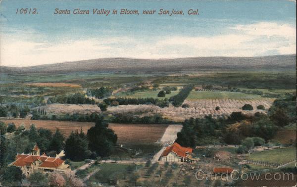 Santa Clara Valley in bloom, near San Jose, Cal. California
