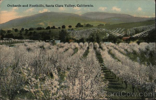 Orchards and Foothills San Jose California