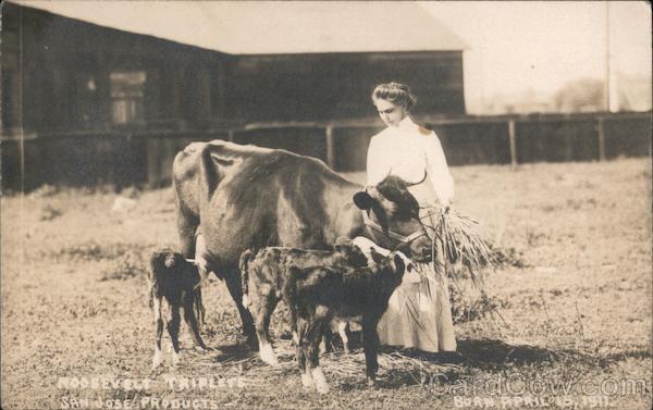 Roosevelt Triplets San Jose California