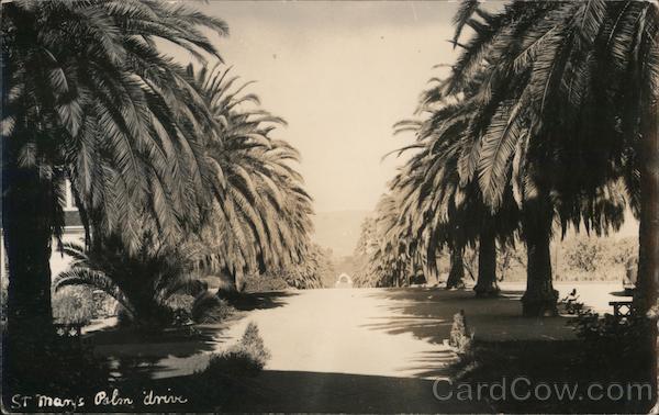 Entrance to School, Palm Drive, Mission San Jose Fremont California
