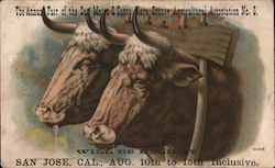The Annual Fair of the San Mateo & Santa Clara County Agricultural Association No. 5 Trade Card