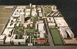 San Jose State College Postcard