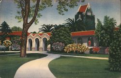 Campus Scene at San Jose State College Postcard