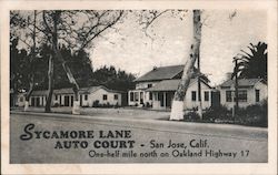 Sycamore Lane Auto Court Postcard