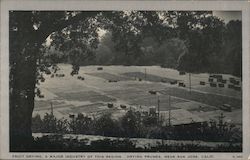 Fruit drying, a major industry of this region. Drying prunes, near San Jose, Calif. Postcard