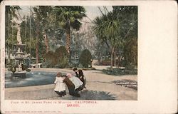 View in St. James Park in winter Postcard