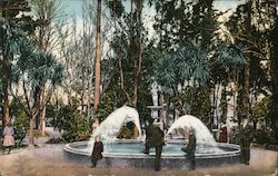 Fountain, St. James Park Postcard