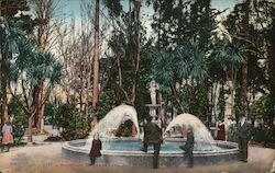 Fountains, St. James Park, San Jose, California Postcard