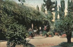The Grotto Grounds San Jose, CA Postcard Postcard Postcard