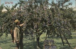 Stock #756467 Thumbnail