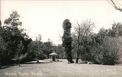 Alum Rock Park Postcard