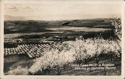 Santa Clara Valley in blossom reached by Southern Pacific Postcard