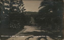 Drive of Mrs. Gallegos. Mission San Jose, Cal. Postcard