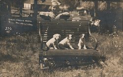 Puppies, Smith Creek Hotel near Mt. Hamilton Postcard