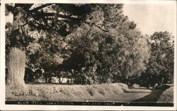 Alum Hock Sanitarium Postcard