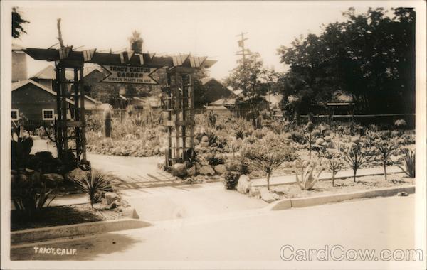Tracy Cactus Gardens California