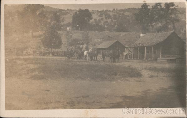 Horses on a Ranch Tehachapi California