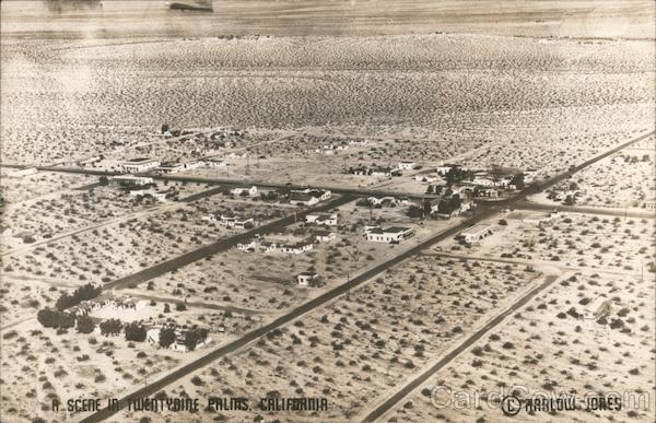 A Scene in Twenty-Nine Palms Twentynine Palms California