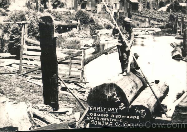 Early Day Logging Redwoods Guerneville California