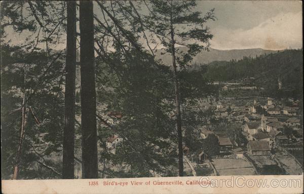 Birds Eye View Guerneville California