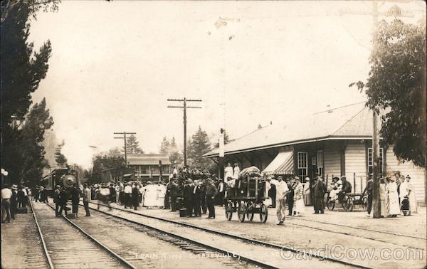 A Large Crowd Waiting for the Train Guerneville California