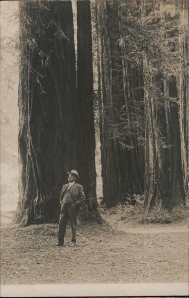 Man Standing in Front of Red Wood Tree Guerneville California