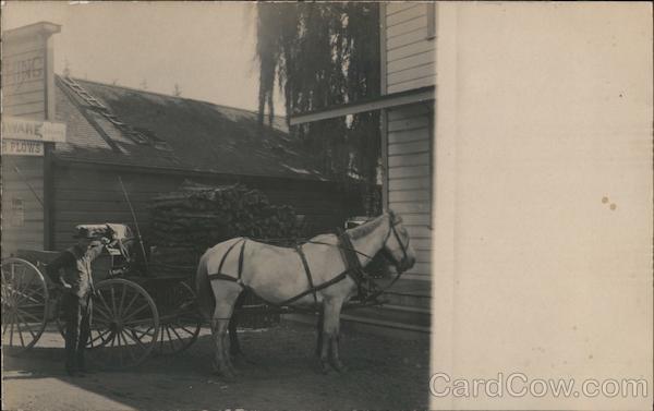 A Man with a Horse Drawn Carriage Guerneville California