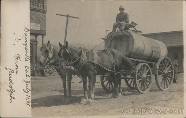 A Man on a Horse Drawn Carriage Guerneville California