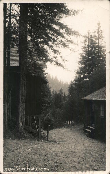 Vine Hill Farm Guerneville California