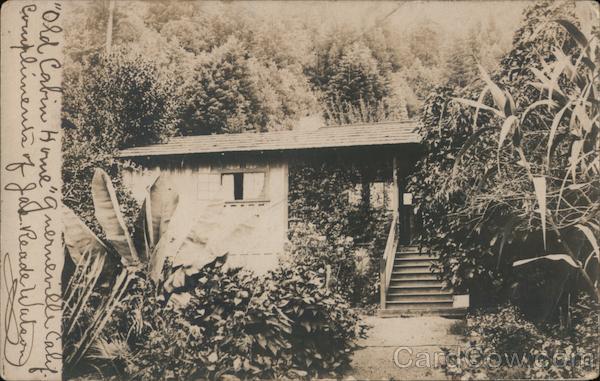 A House in the Woods Guerneville California