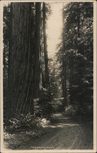 Armstrong Woods Guerneville California