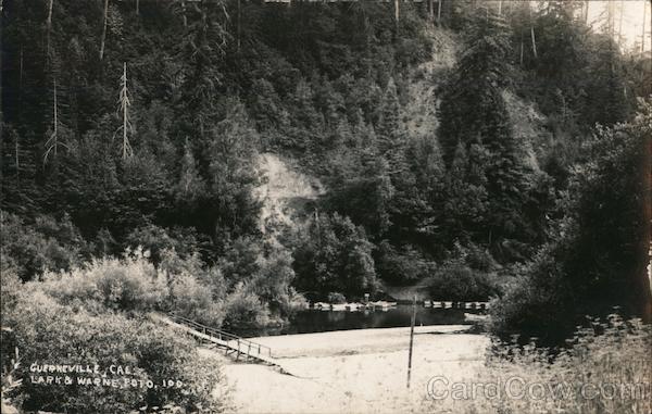 A River and River Bank Guerneville California