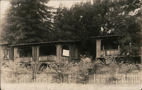 Two Houses in Overgrown Vegetation Guerneville California