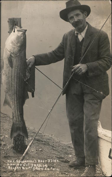 Mr. C. Goodbrenk's Bass 37 lb. Landed on Oct. 30th, 14 Guerneville California