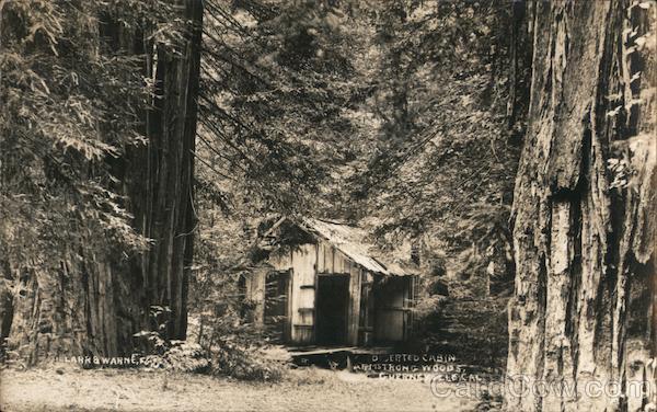 Deserted Cabin Armstrong Woods Guerneville California