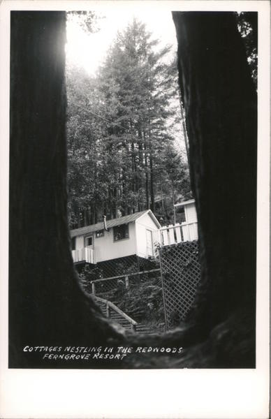 Cottage Nestling in the Redwoods Ferngrove Resort Guerneville California