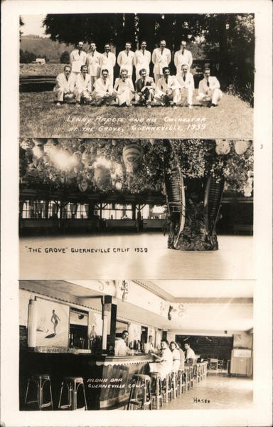 The Grove Guerneville California