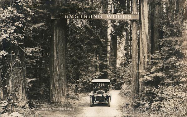 Armstrong Woods Guerneville California