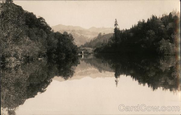 A River with Lots of Trees Guerneville California