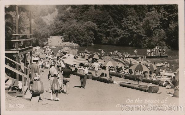 On the Bench of Geurnewood Park Guerneville California