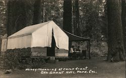 Honey Mooning at Camp Grant - General Grant National Park Postcard