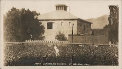 Larkmead Winery Saint Helena, CA Postcard Postcard Postcard