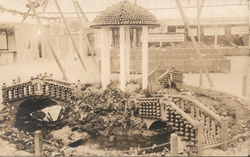 California State Fair Orange Show Postcard