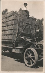 Boy Riding on Load of Fruit Crates Postcard