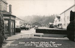 Scene on Redwood Highway From Scotia Inn Gardened Terrace California Ray Postcard Postcard Postcard