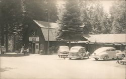 Cars Parked at a Road Side Store Postcard
