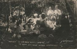 July 4th at Soda Springs Near Whitmore Postcard