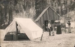 Tuolumne Camp 20 Lumber, Logging California Postcard Postcard Postcard